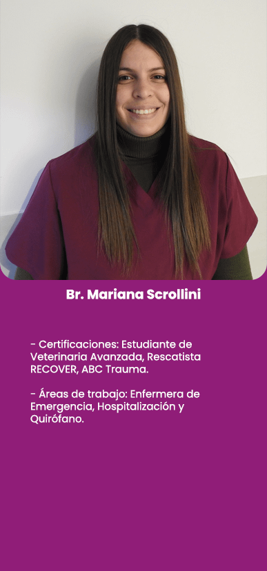 Br. Mariana Scrollini