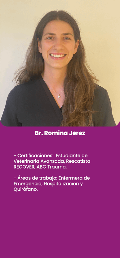 Br. Romina Jerez
